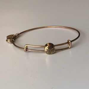 Alex and Ani Charm Bracelet
